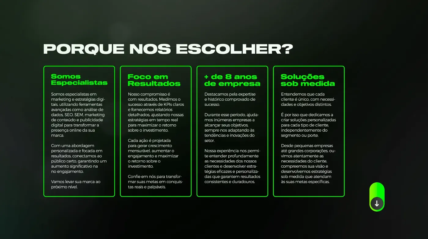 Slide 9 da apresentação da TLZ Agência Digital